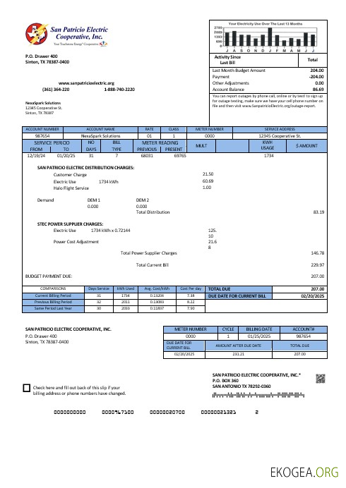 États Unis Texas San Patricio Electric Corporative modèle de facture de services publics aux formats Word et PDF